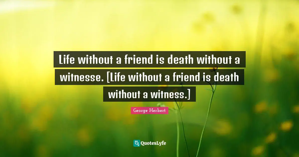 Proverb Quotes: "Life without a friend is death without a witnesse. [Life without a friend is death without a witness.]"
