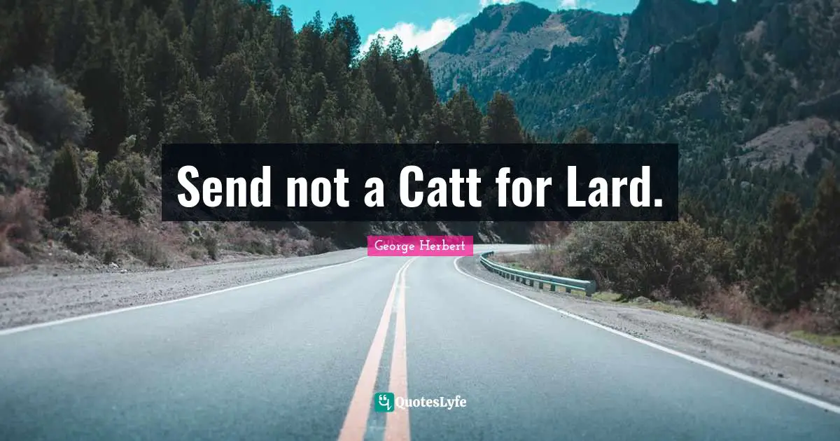 Send not a Catt for Lard.