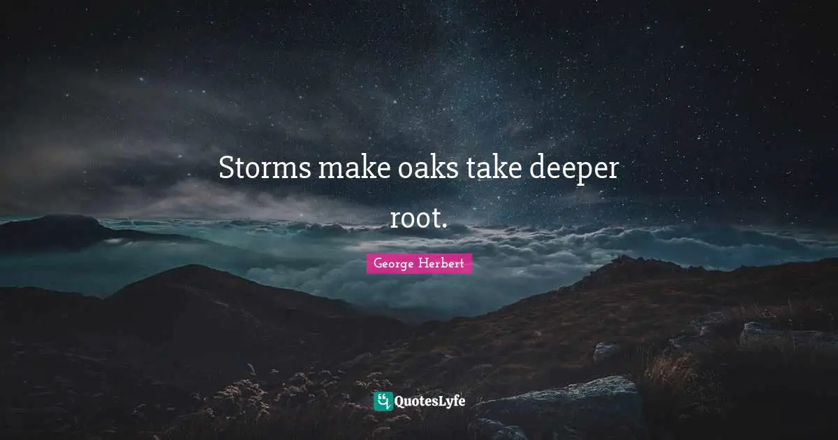 Storms make oaks take deeper root.