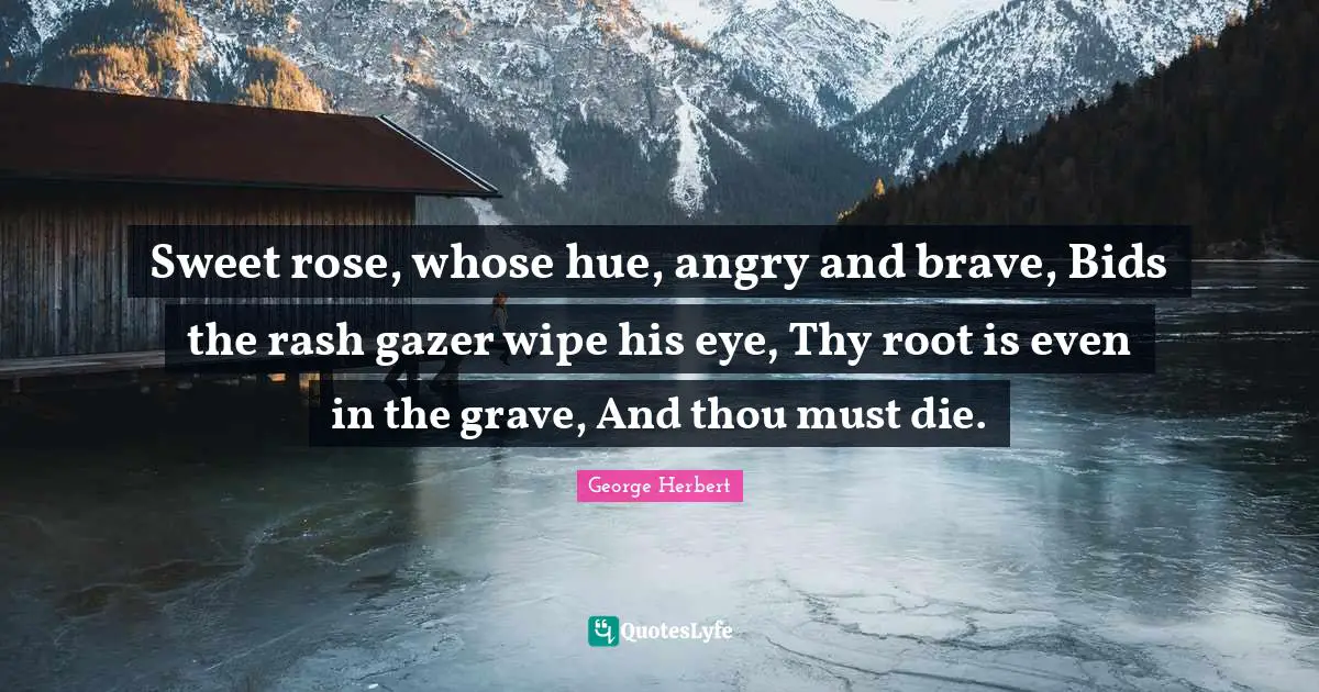 Sweet rose, whose hue, angry and brave, Bids the rash gazer wipe his eye, Thy root is even in the grave, And thou must die.