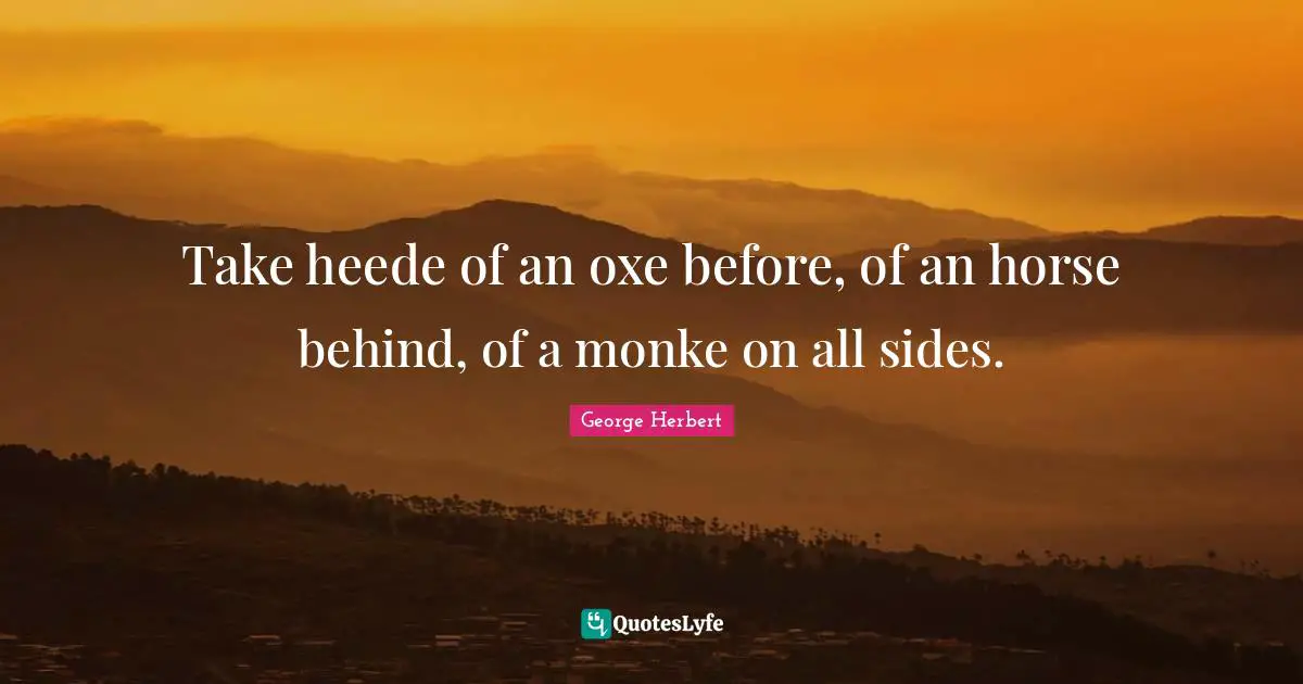Take heede of an oxe before, of an horse behind, of a monke on all sides.
