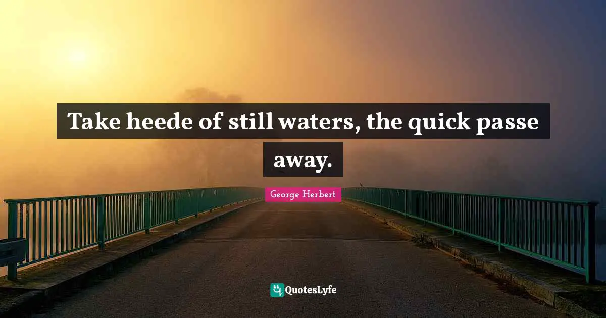 Take heede of still waters, the quick passe away.
