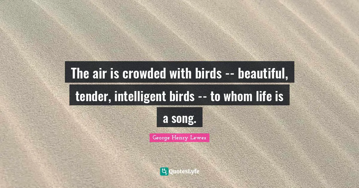 The air is crowded with birds -- beautiful, tender, intelligent birds -- to whom life is a song.