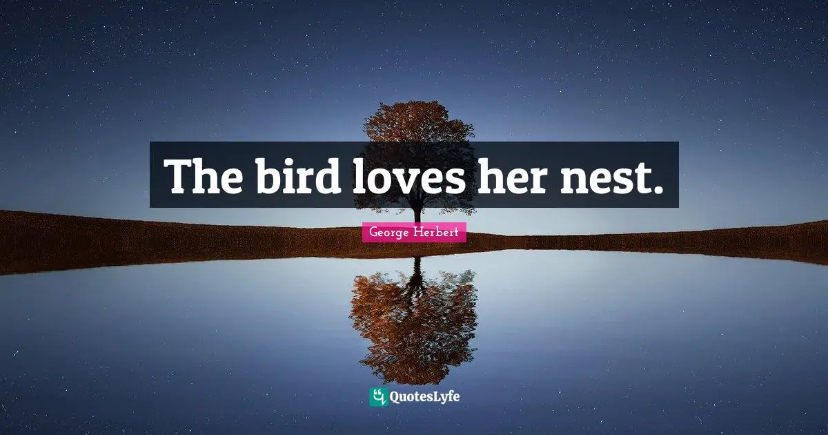 Nests Quotes: "The bird loves her nest."