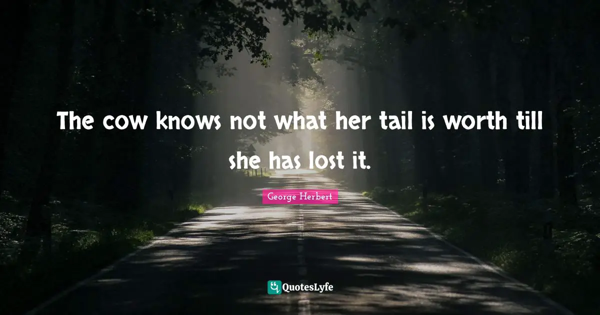 The cow knows not what her tail is worth till she has lost it.