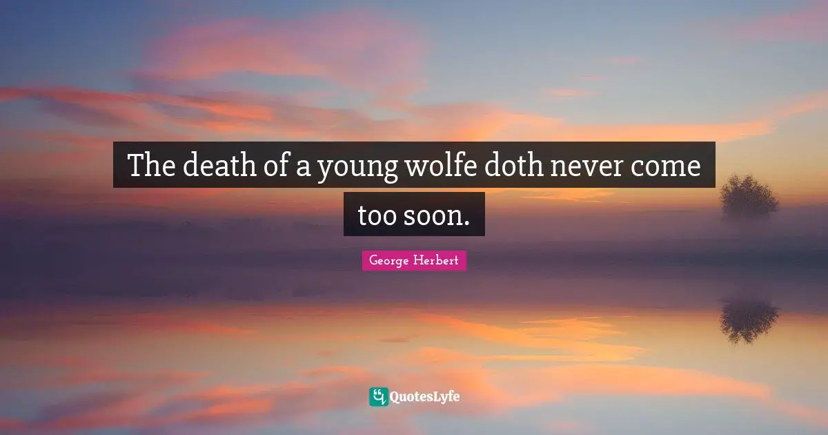 The death of a young wolfe doth never come too soon.