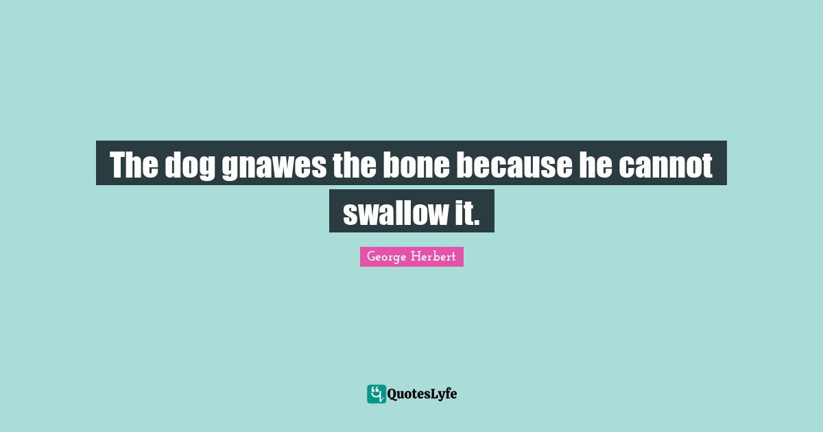 The dog gnawes the bone because he cannot swallow it.