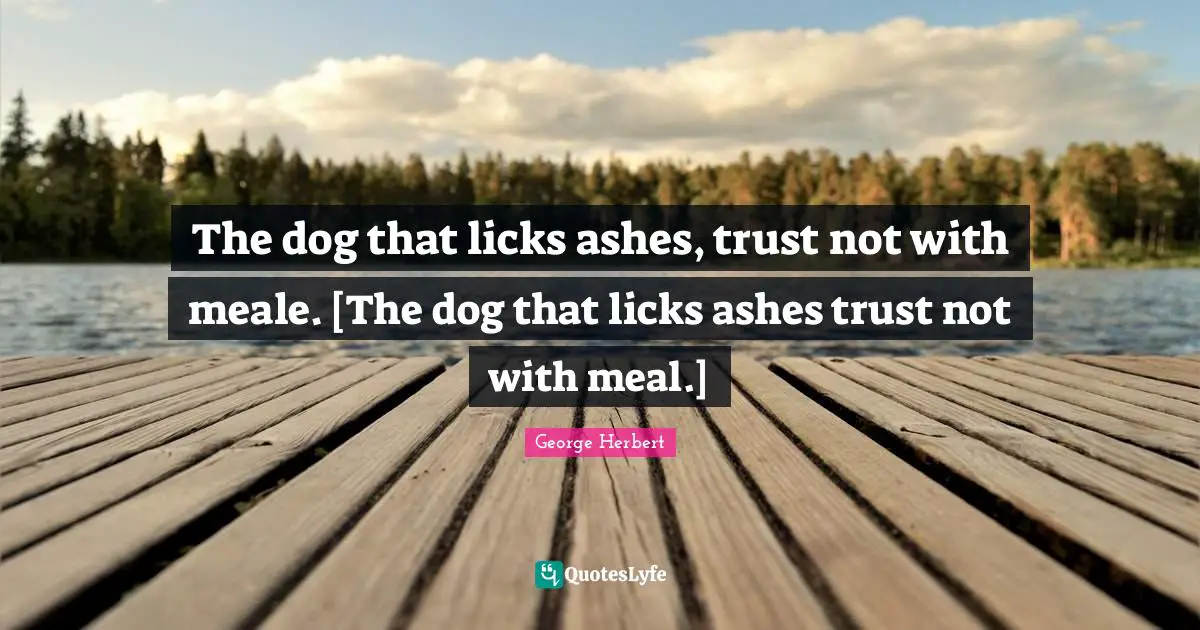 The dog that licks ashes, trust not with meale. [The dog that licks ashes trust not with meal.]