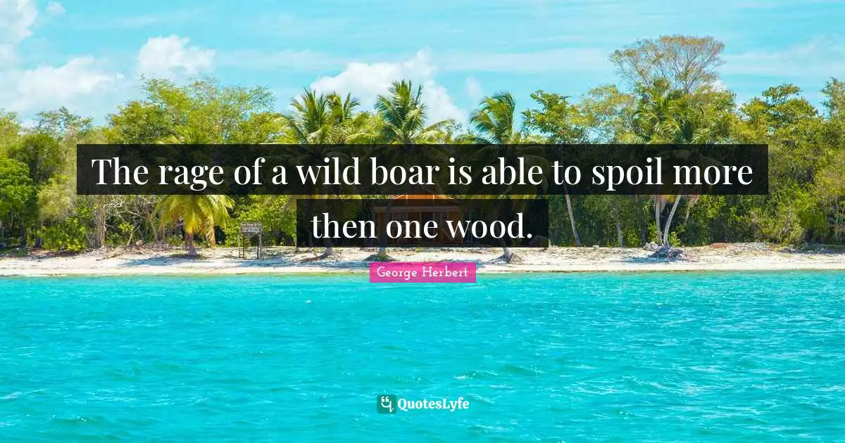 The rage of a wild boar is able to spoil more then one wood.