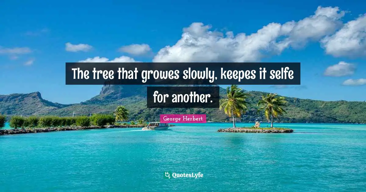 The tree that growes slowly, keepes it selfe for another.