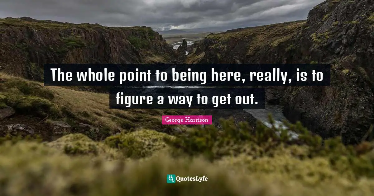 George Harrison Quotes: "The whole point to being here, really, is to figure a way to get out."