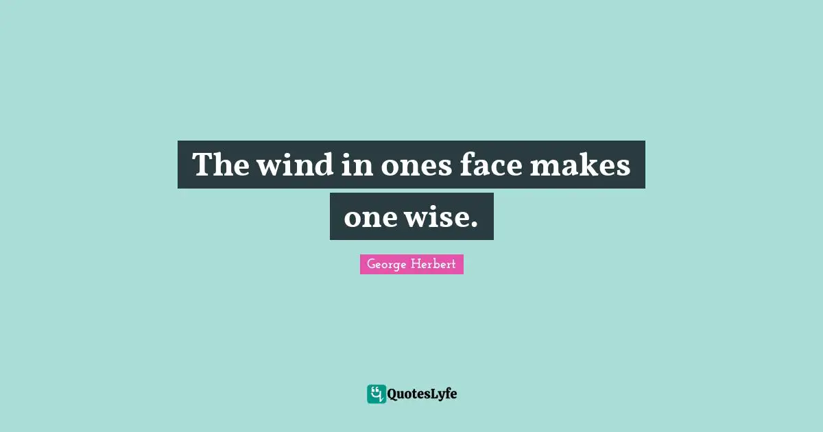 The wind in ones face makes one wise.