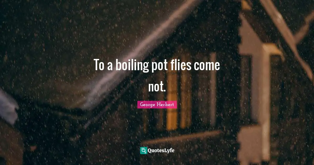 To a boiling pot flies come not.