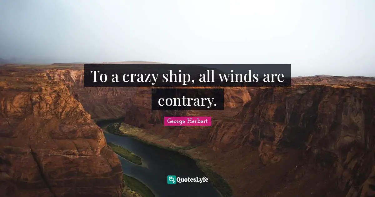 To a crazy ship, all winds are contrary.