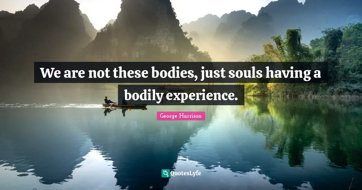 George Harrison Quotes: "We are not these bodies, just souls having a bodily experience."