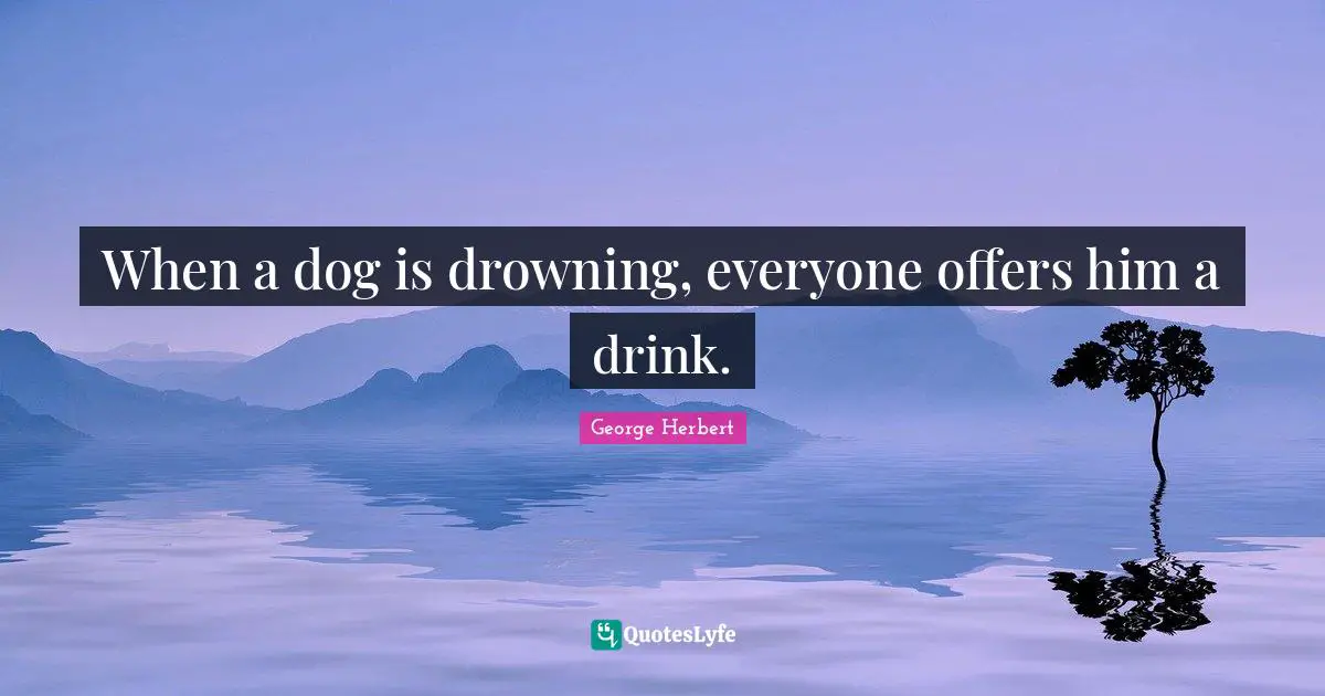 When a dog is drowning, everyone offers him a drink.