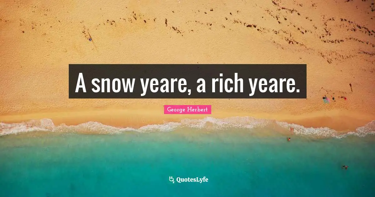 A snow yeare, a rich yeare.