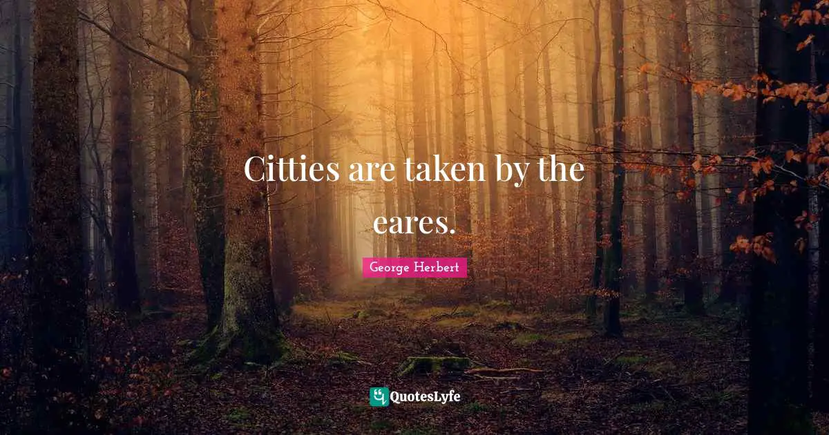 Citties are taken by the eares.