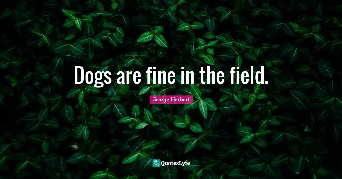 Dogs are fine in the field.