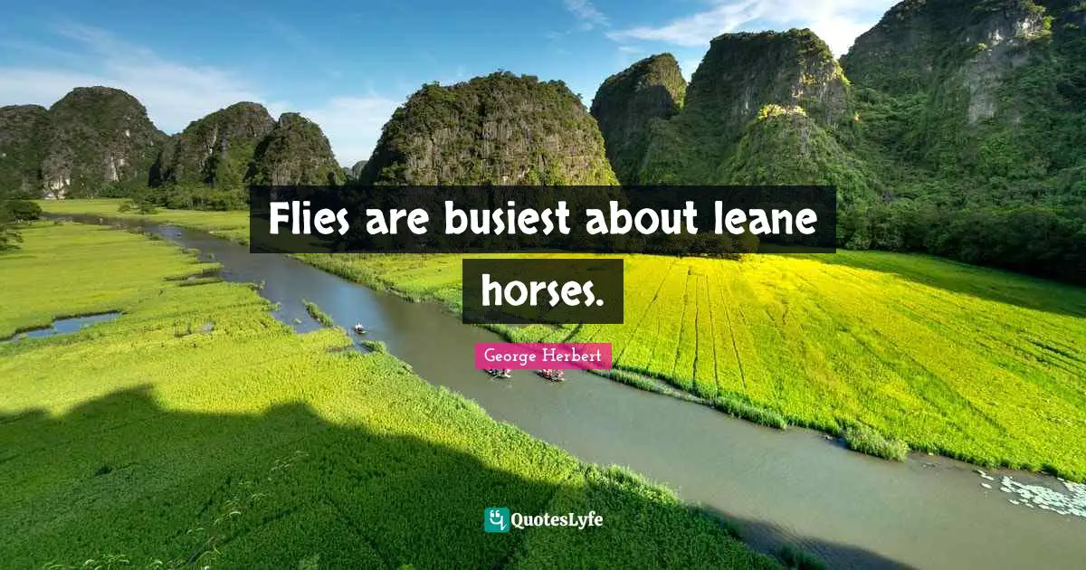 Flies are busiest about leane horses.