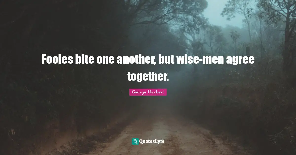 Fooles bite one another, but wise-men agree together.