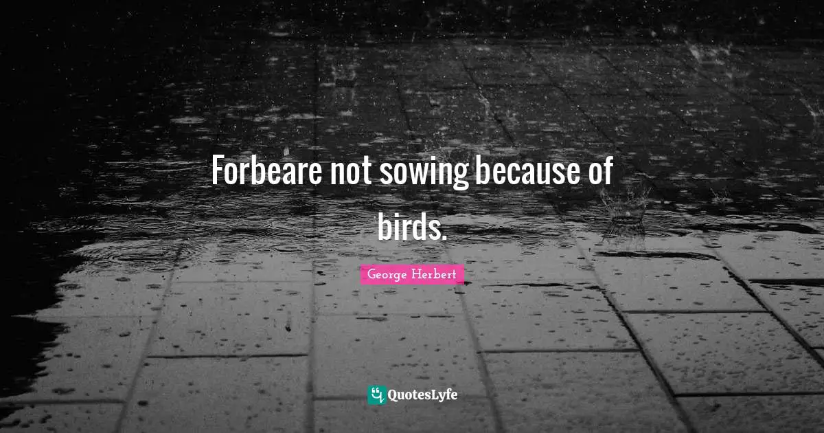 Forbeare not sowing because of birds.