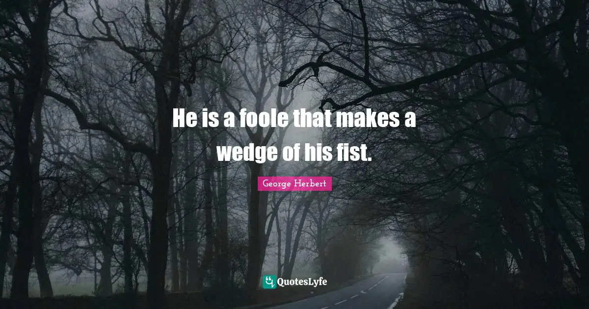 He is a foole that makes a wedge of his fist.
