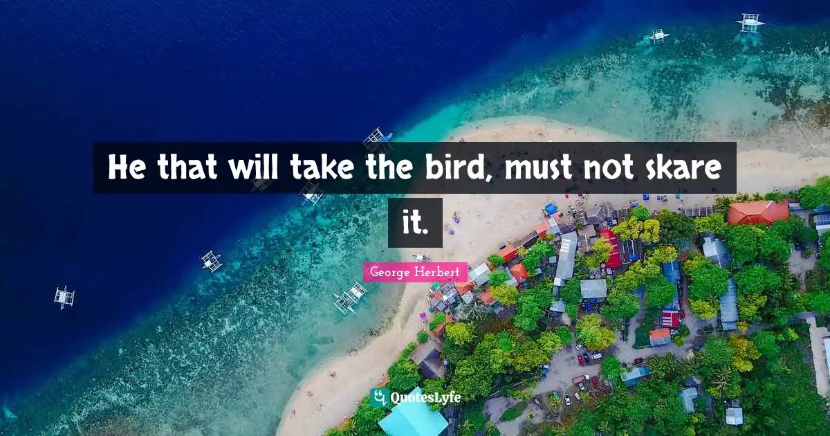 He that will take the bird, must not skare it.