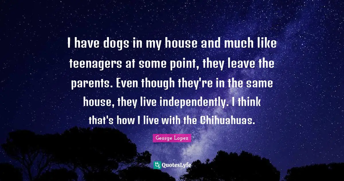 I have dogs in my house and much like teenagers at some point, they leave the parents. Even though they're in the same house, they live independently. I think that's how I live with the Chihuahuas.