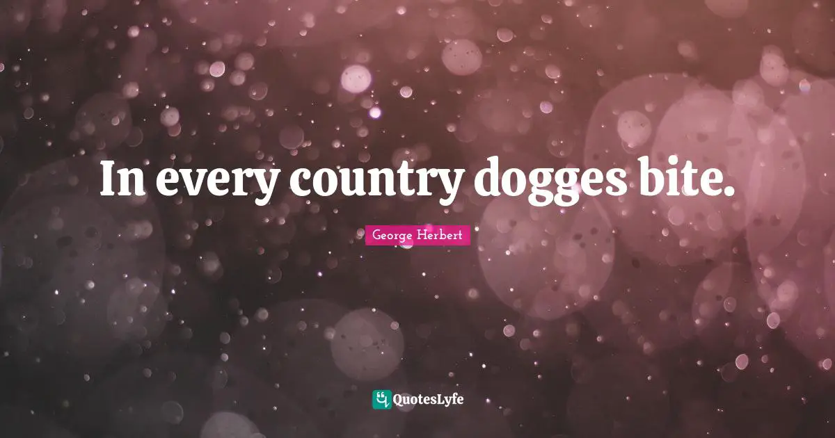 In every country dogges bite.