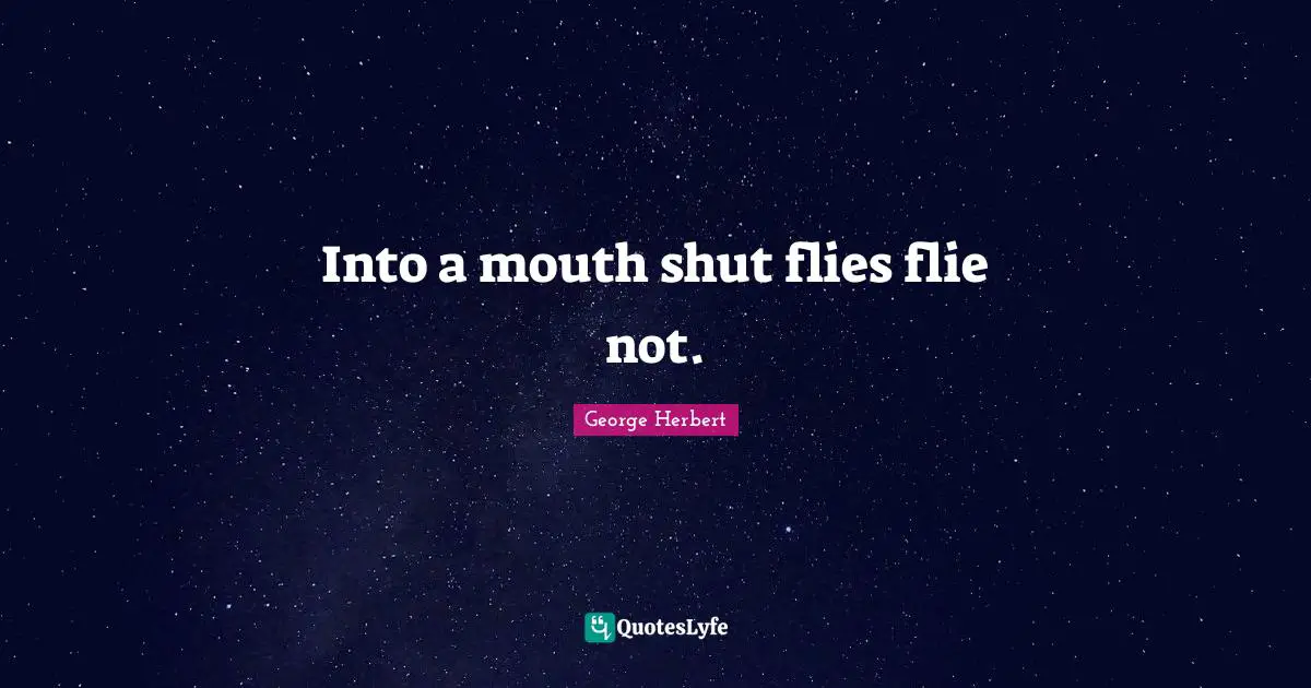 Into a mouth shut flies flie not.