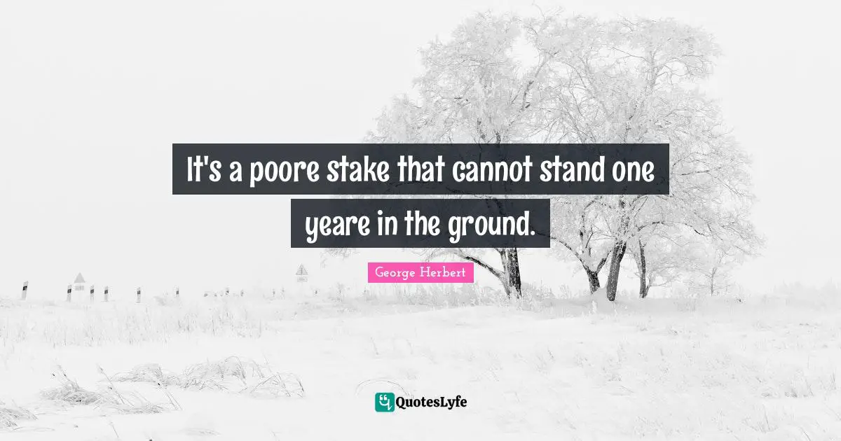 It's a poore stake that cannot stand one yeare in the ground.
