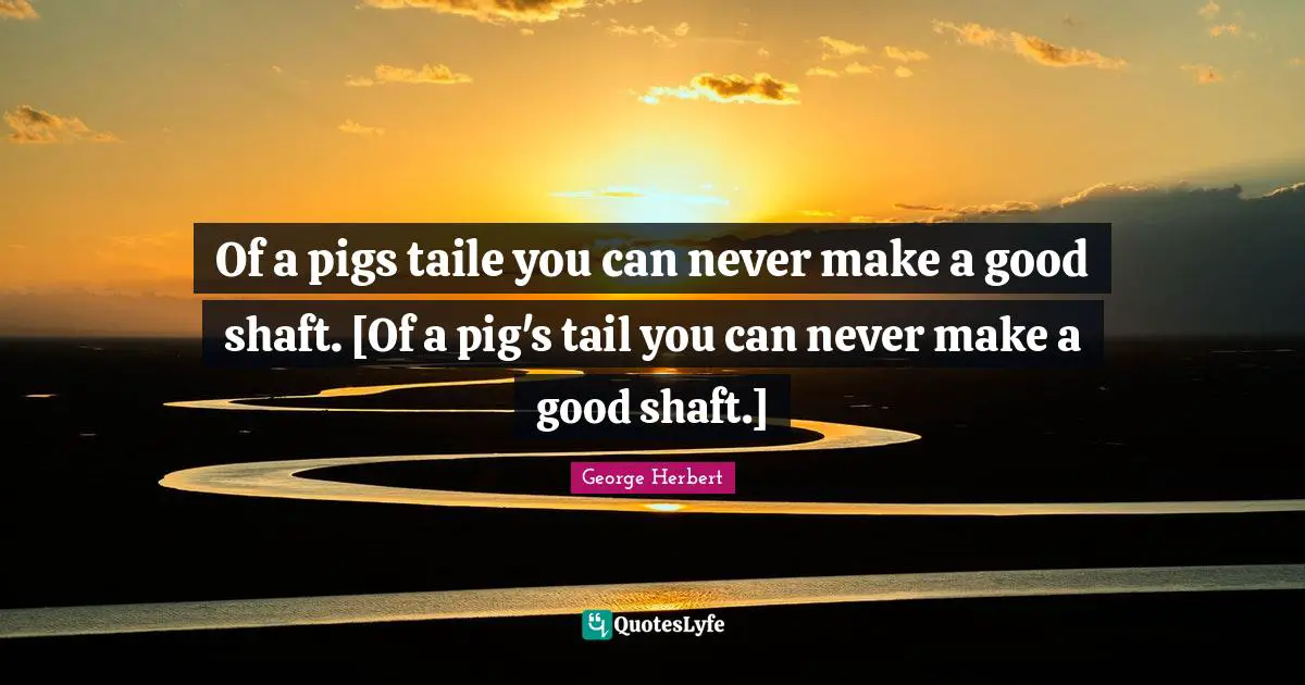 Of a pigs taile you can never make a good shaft. [Of a pig's tail you can never make a good shaft.]