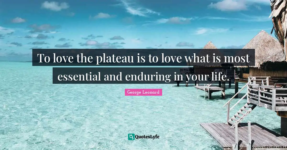 To love the plateau is to love what is most essential and enduring in your life.