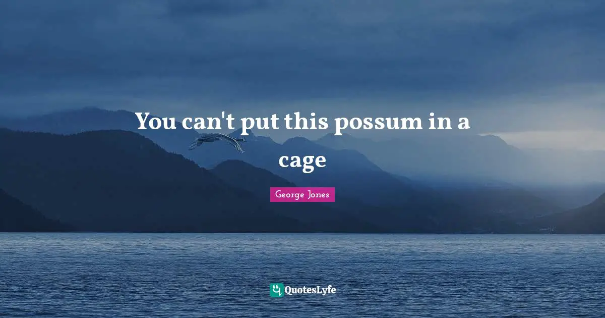 You can't put this possum in a cage