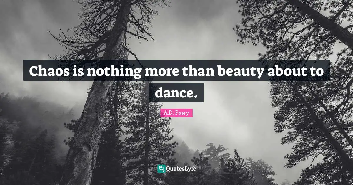 Chaos is nothing more than beauty about to dance.