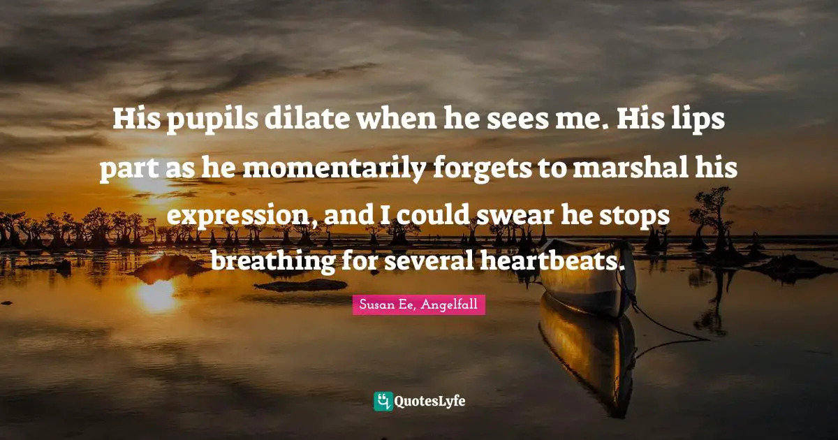 His pupils dilate when he sees me. His lips part as he momentarily forgets to marshal his expression, and I could swear he stops breathing for several heartbeats.