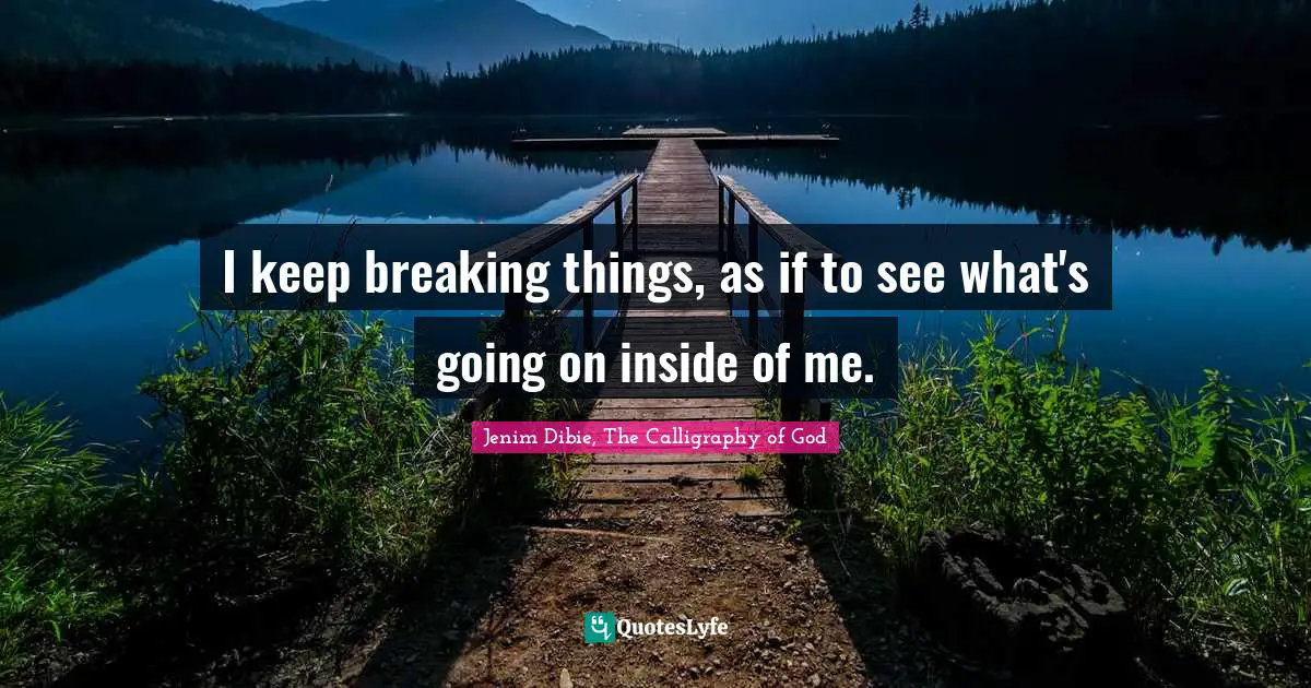 I keep breaking things, as if to see what's going on inside of me.