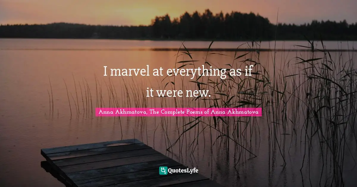 I marvel at everything as if it were new.