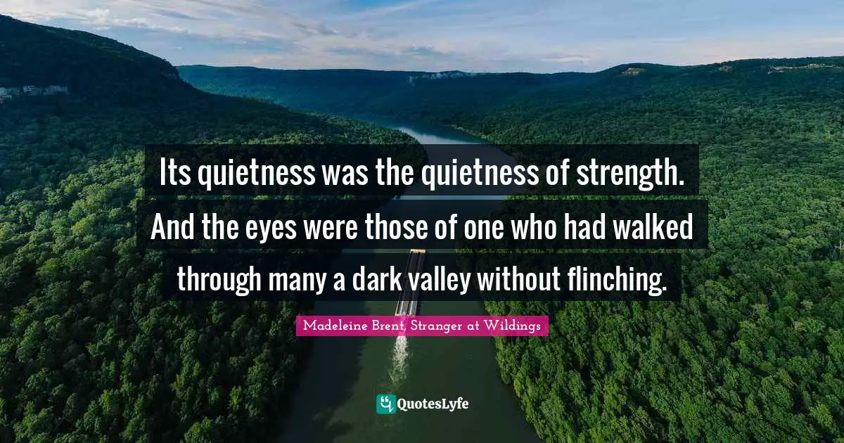 Its quietness was the quietness of strength. And the eyes were those of one who had walked through many a dark valley without flinching.