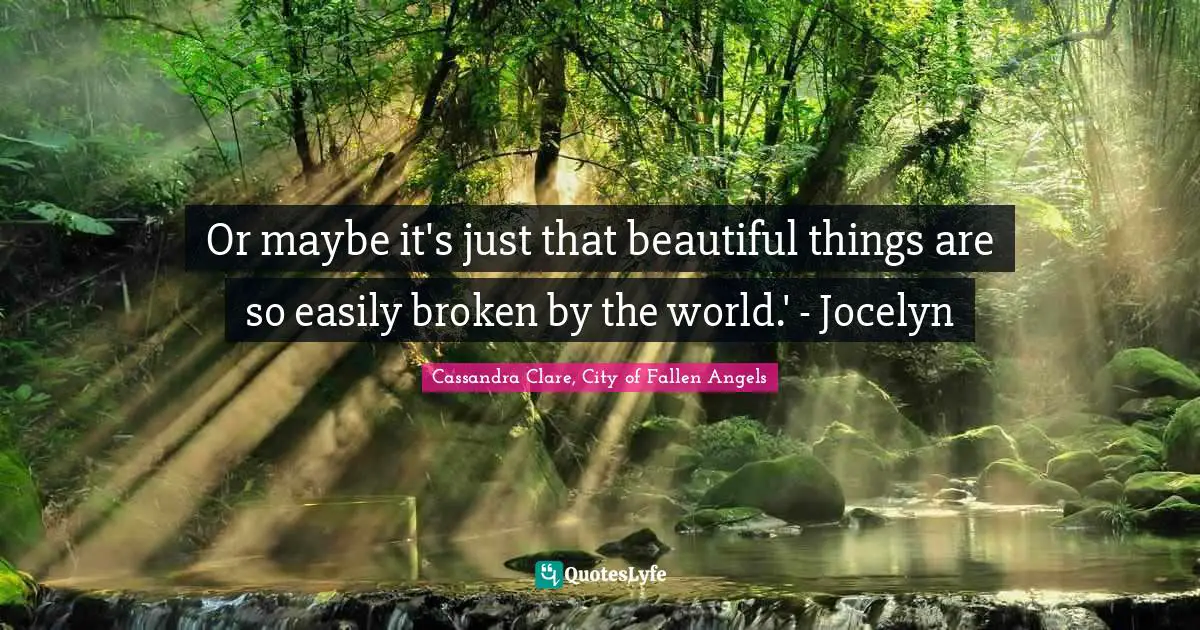 Or maybe it's just that beautiful things are so easily broken by the world.' - Jocelyn