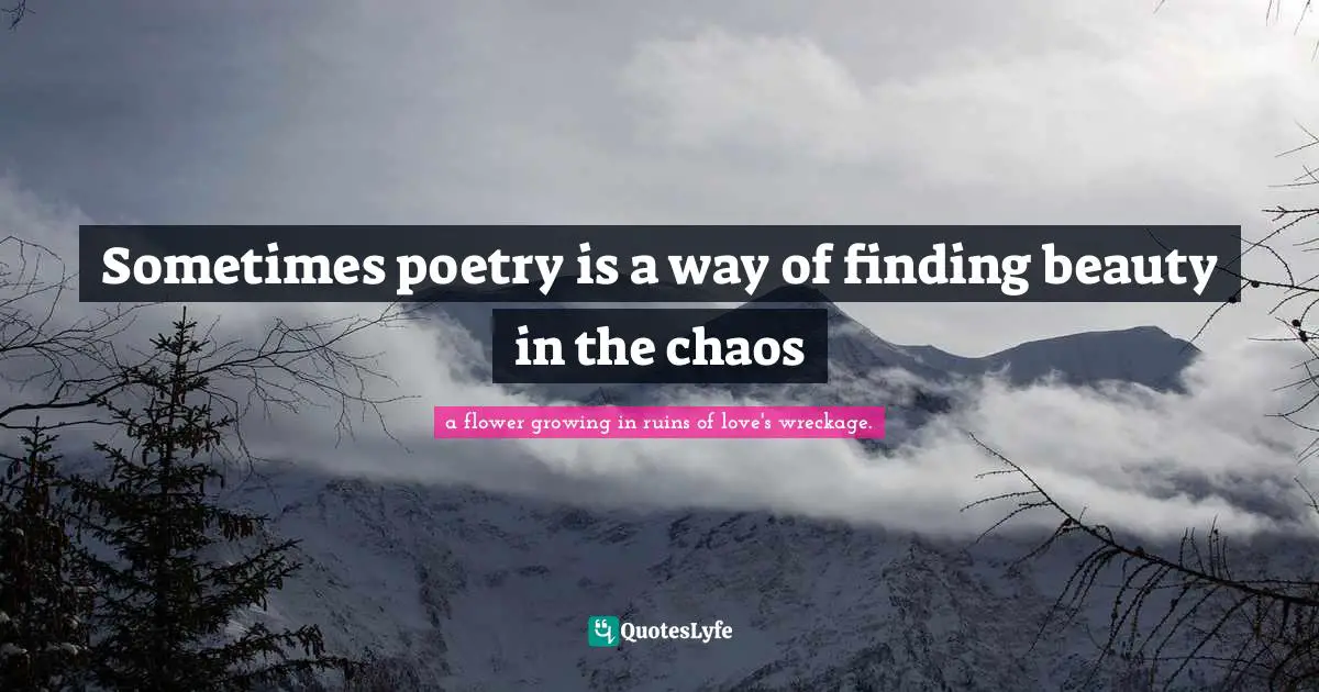 Sometimes poetry is a way of finding beauty in the chaos