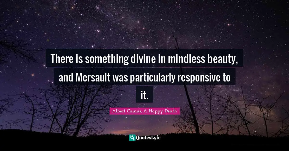 There is something divine in mindless beauty, and Mersault was particularly responsive to it.