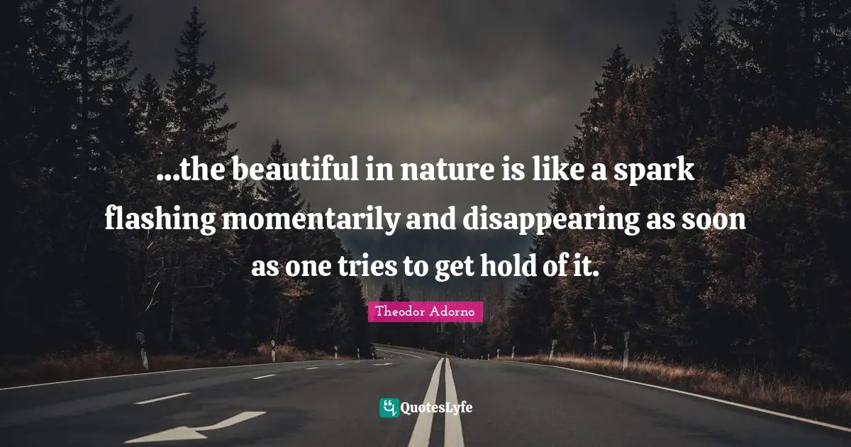 ...the beautiful in nature is like a spark flashing momentarily and disappearing as soon as one tries to get hold of it.