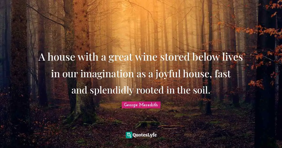 A house with a great wine stored below lives in our imagination as a joyful house, fast and splendidly rooted in the soil.