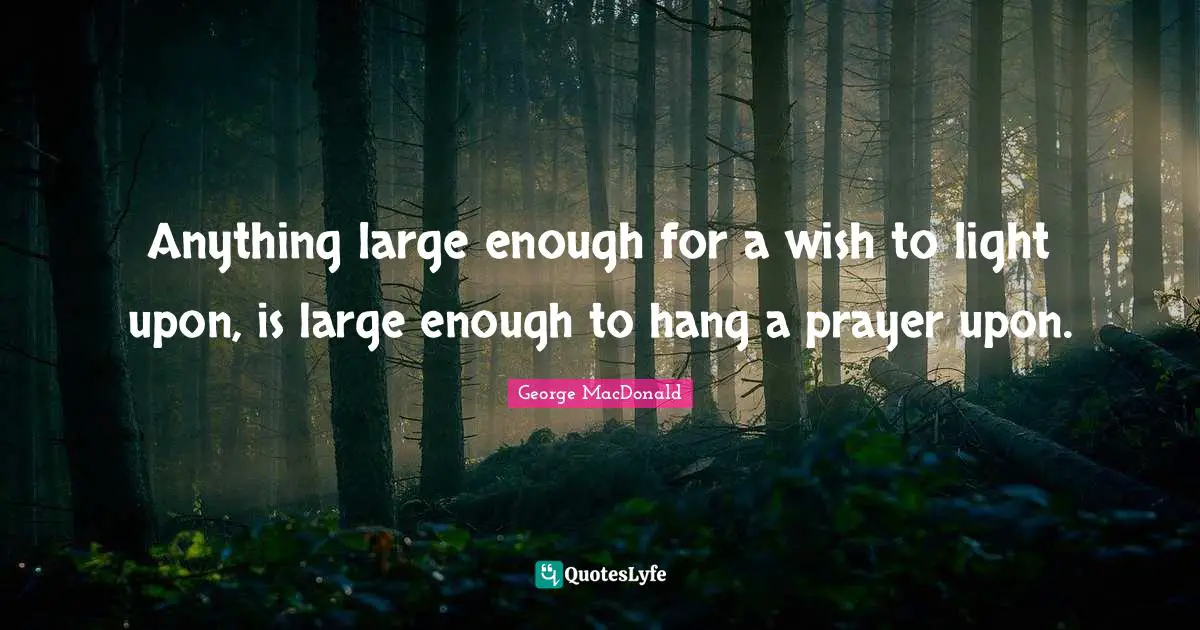 Anything large enough for a wish to light upon, is large enough to hang a prayer upon.