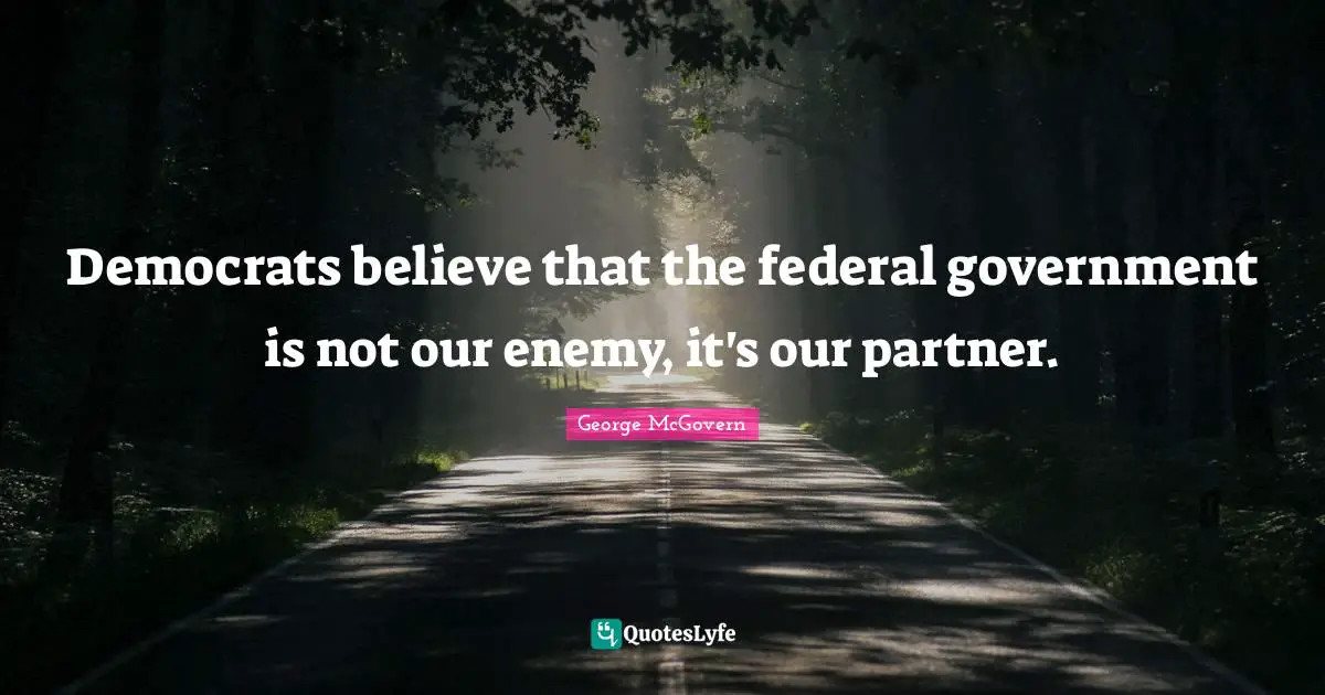 Democrats believe that the federal government is not our enemy, it's our partner.