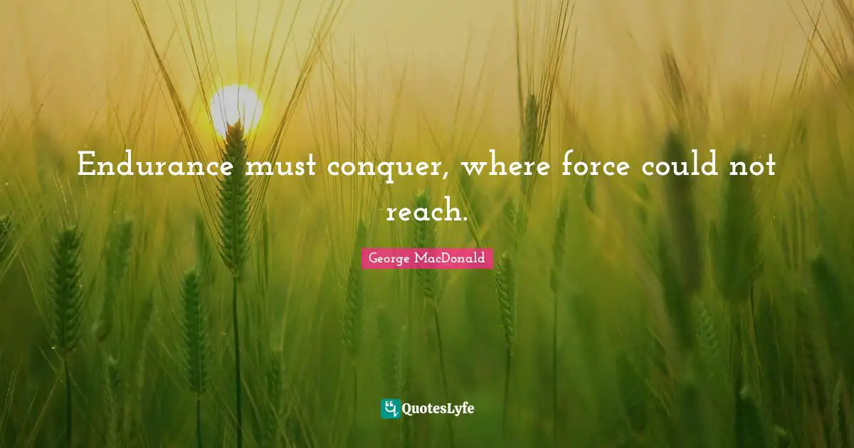 Endurance must conquer, where force could not reach.