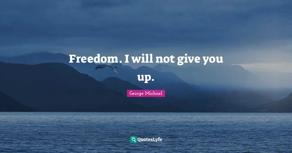 George Michael Quotes: Freedom. I will not give you up.