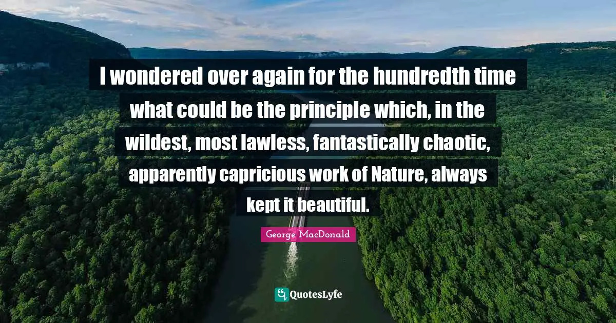 I wondered over again for the hundredth time what could be the principle which, in the wildest, most lawless, fantastically chaotic, apparently capricious work of Nature, always kept it beautiful.